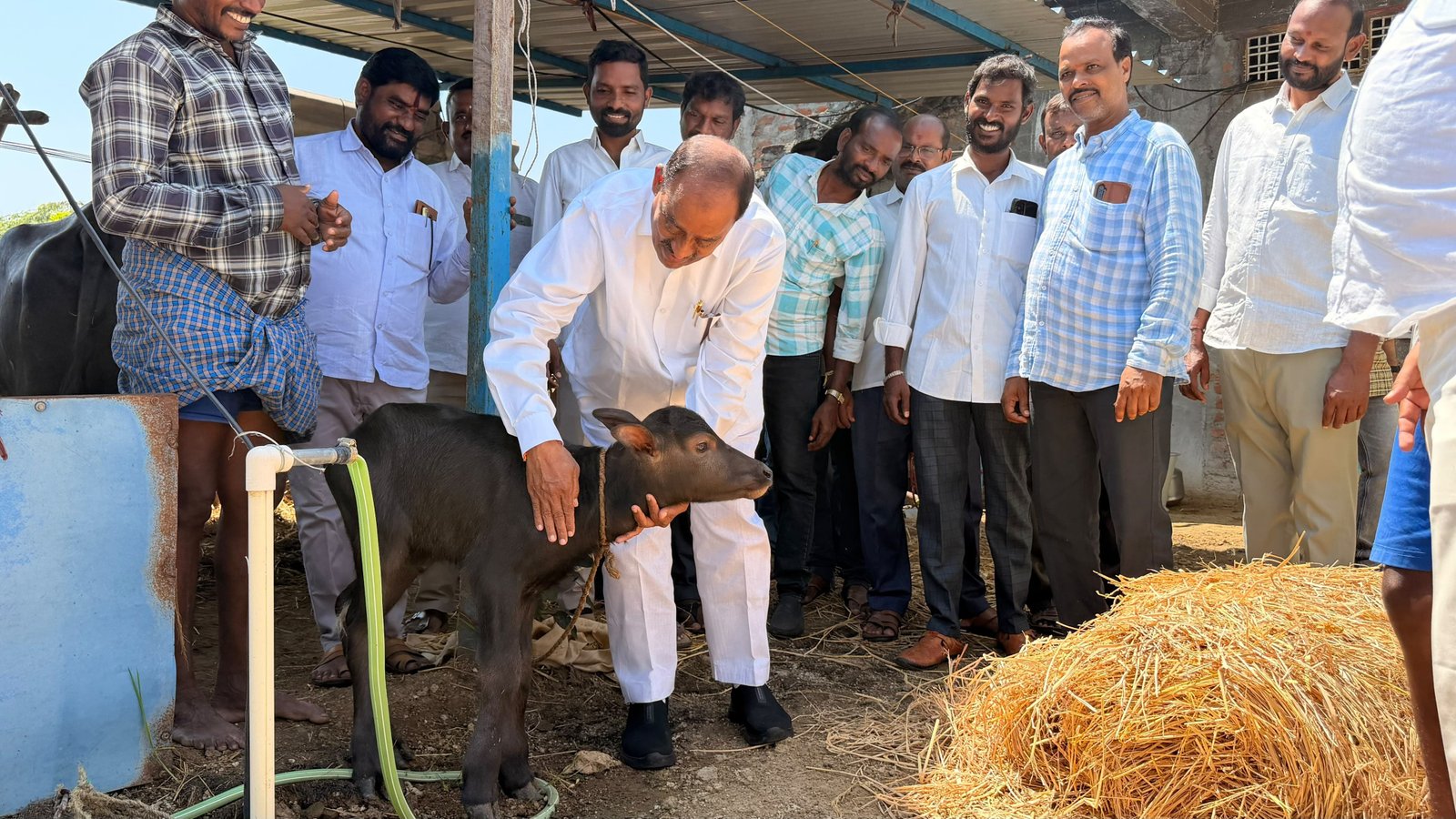 పాడి గేదెల పెంపకంతో కుటుంబాలు ఆర్థికంగా అభివృద్ధి చెందాలి - Additional Image